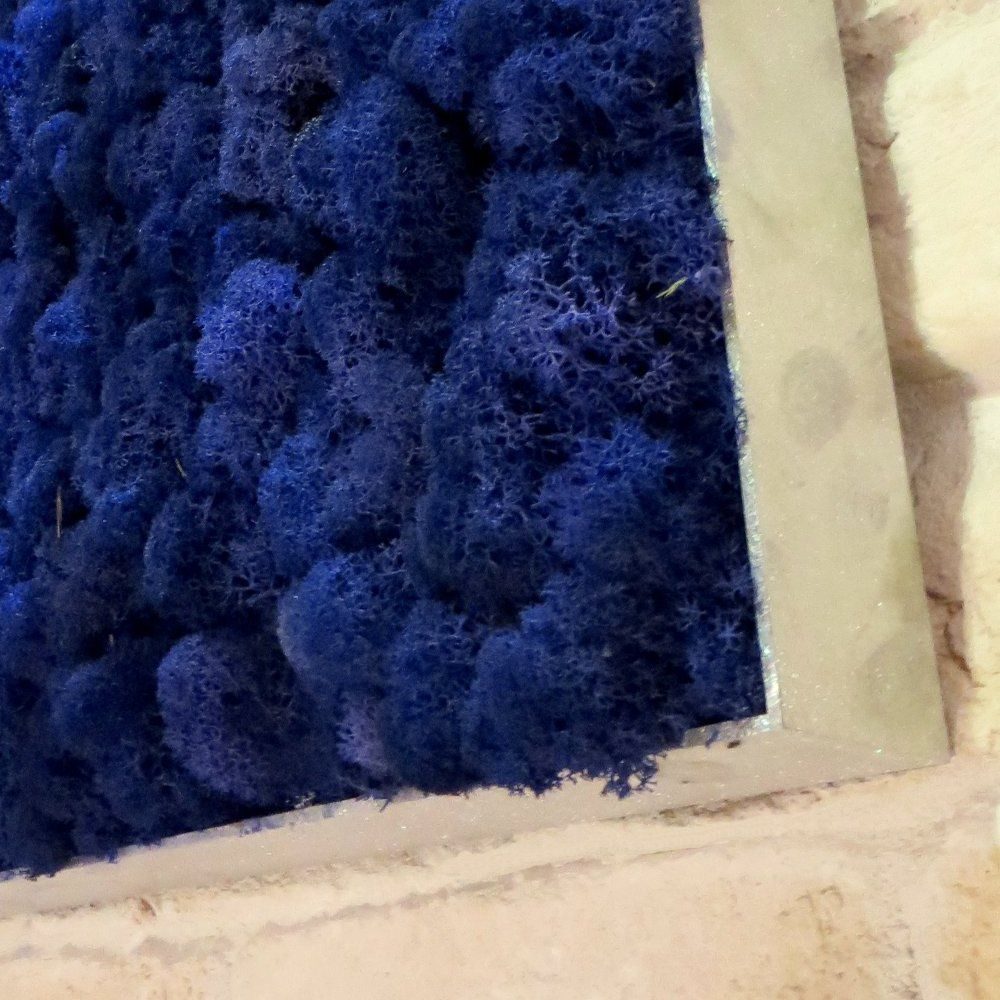Moss Pictures with a alu-frame brushed