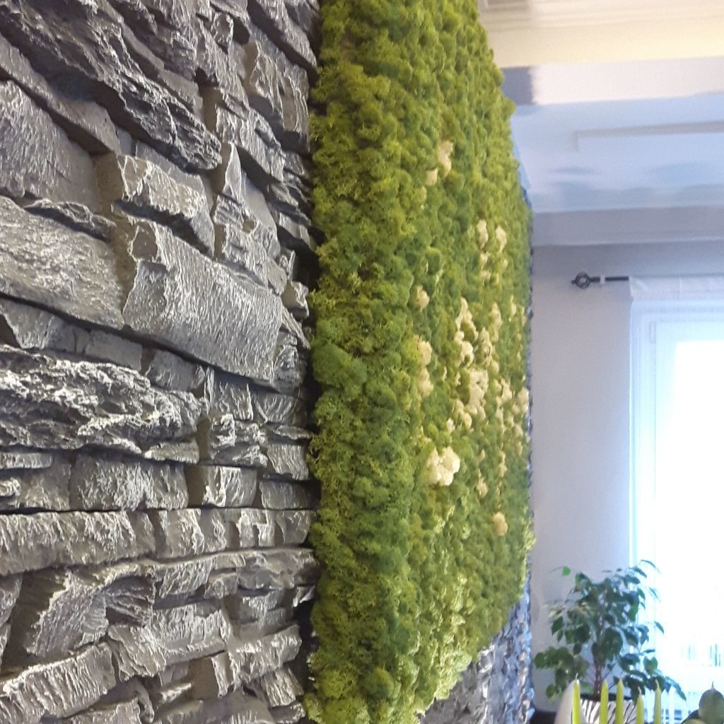 Moss Pictures with a Frame made with Reindeer Moss