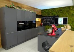 Moss wall design with hill moss - color nature - in a kitchen