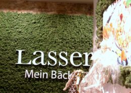 Special wall design with reindeer moss - color mossgreen in a bakery