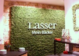 Special wall design with reindeer moss - color mossgreen in a bakery