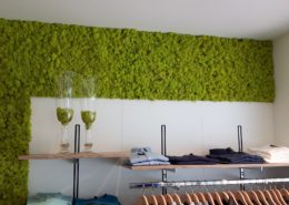 Special wall design with reindeer moss - color springgreen - clothing business