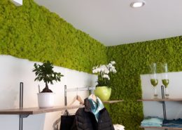 Special wall design with reindeer moss - color springgreen - clothing business