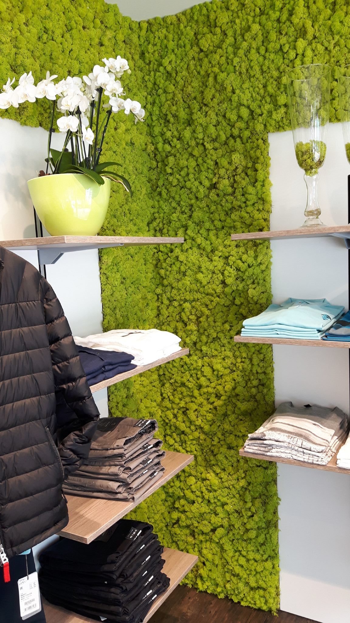 Special wall design with reindeer moss - color springgreen - clothing business