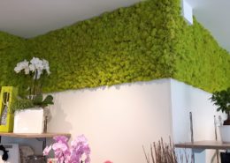 Special wall design with reindeer moss - color springgreen - clothing business