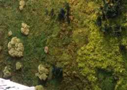 Moss wall design with a mix of different mosses, ferns and flowers on a trade fair in salzburg
