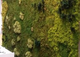 Moss wall design with a mix of different mosses, ferns and flowers on a trade fair in salzburg